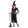 Top 10 ❤️ Rubie's Witch Of Darkness Adult Costume 😀