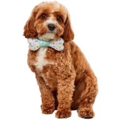 Buy 🎉 Disguise Party Collar Bow-Ne Pet Accessory 🔔