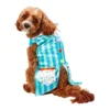 Best Sale 🥰 Rubie's Birthday Stripe Vest Pet Costume ⭐