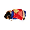 Best reviews of 👏 Rubie's Superman Small Pet Costume 💯