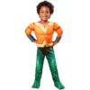 Best reviews of 🔥 Rubie's DC League Of Super Pets: Aquaman Toddler Costume ❤️