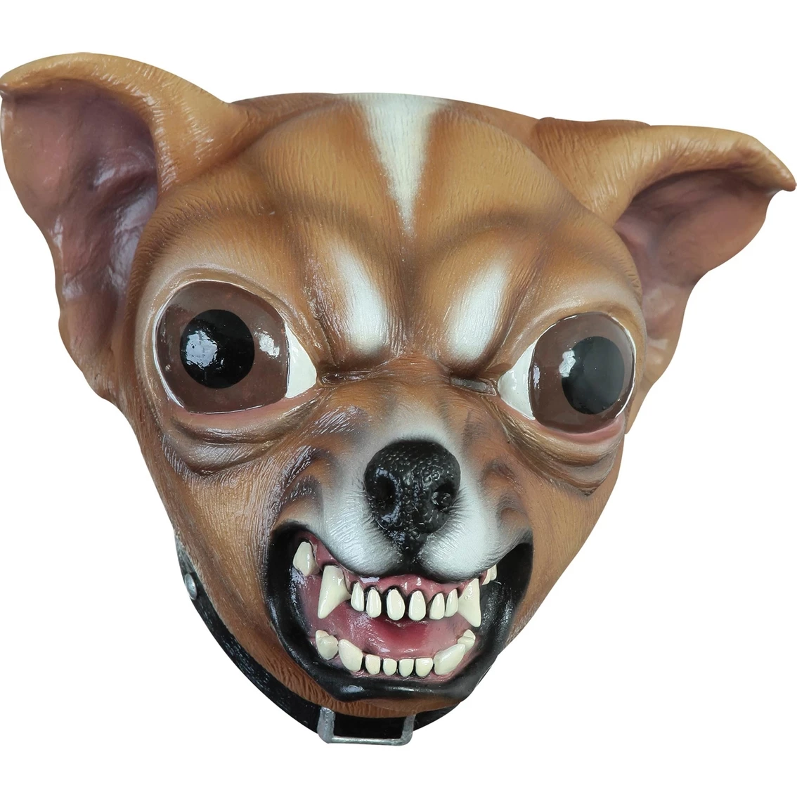 Top 10 π Ghoulish Men's Chihuahua Mask β¨ 1 Top 10 π Ghoulish Men's Chihuahua Mask β¨